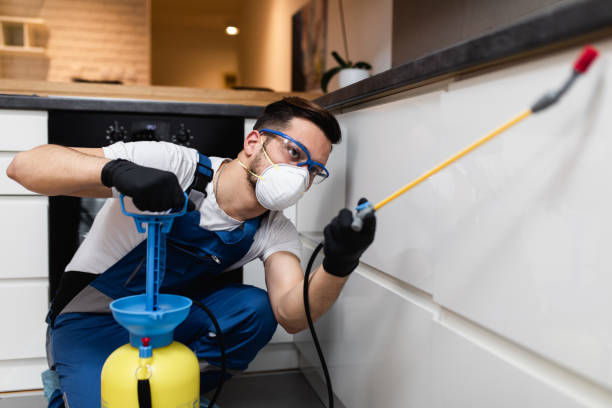 Best Cockroach Control Services  in Flence, OR